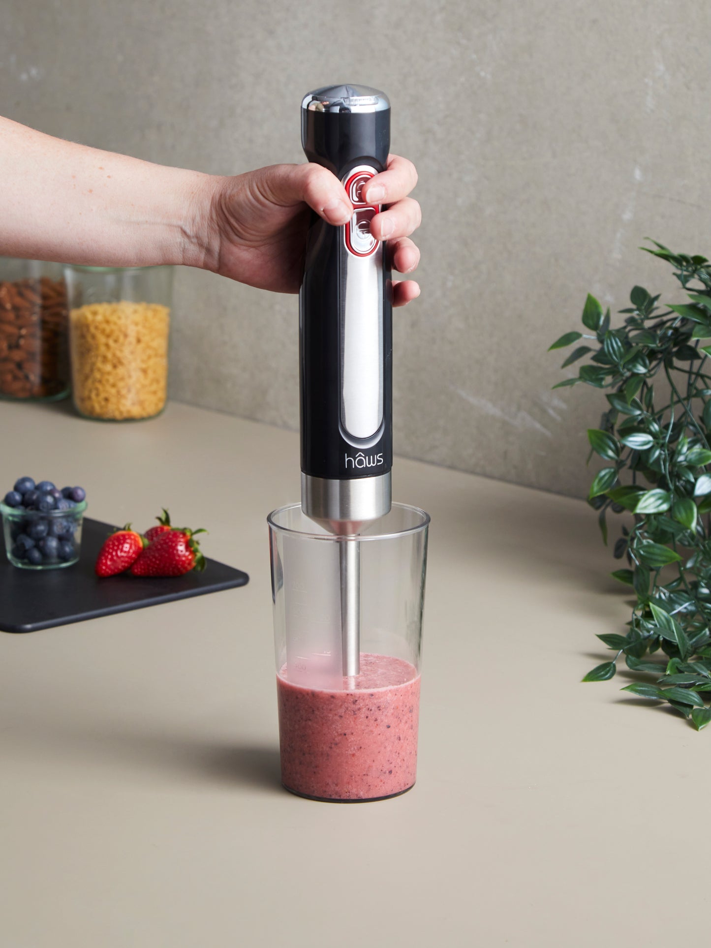 Hâws kabelloser Stabmixer 100w