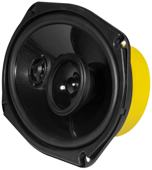 ESX QUANTUM Triax 6x9" QXE-693