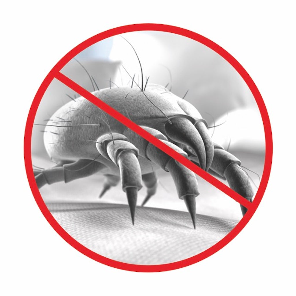 Bob Home Milbensauger 300W mit UV-C-Licht & HEPA-Filter – Matratzensauger