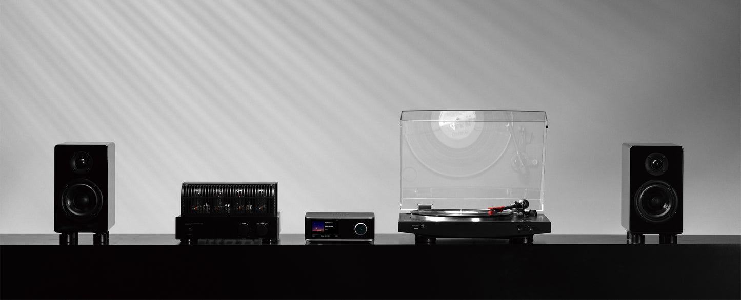WiiM Ultra Musik-Streamer & Digital-Vorverstärker | 3,5" Touchscreen, kompatibel mit Google Cast & Alexa, Streamt Spotify, Amazon Music, Tidal | HDMI ARC, Phono-Eingang, Kopfhörerausgang | Space Grau
